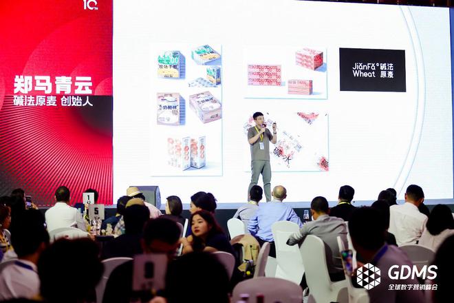 十年之约共赴原点 2024第十届GDMS全球数字营销峰会完美收官(图4)