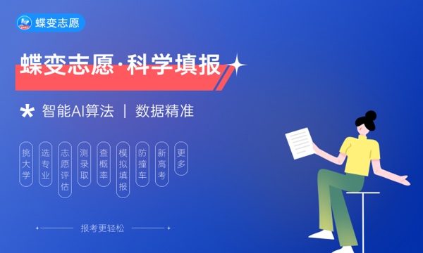 ZBlog扁平主题：简洁设计提升用户体验与应用案例分析