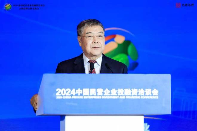 李肇星、张志刚、祝合良等出席2024中国民营企业投融资洽谈会(图3)