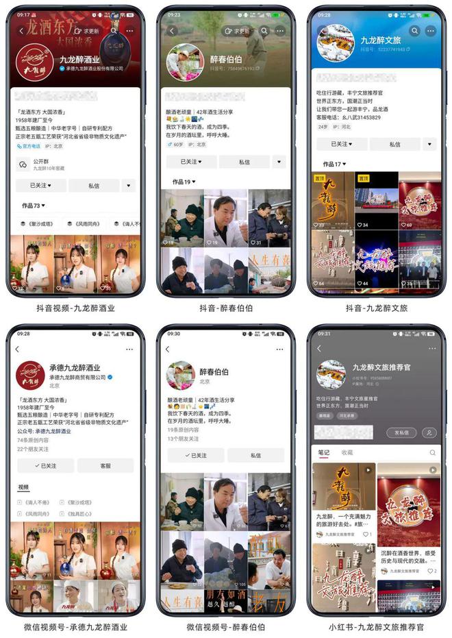 九龙醉2024：新营销激发新活力(图4)