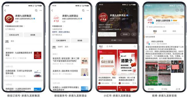 九龙醉2024：新营销激发新活力(图5)