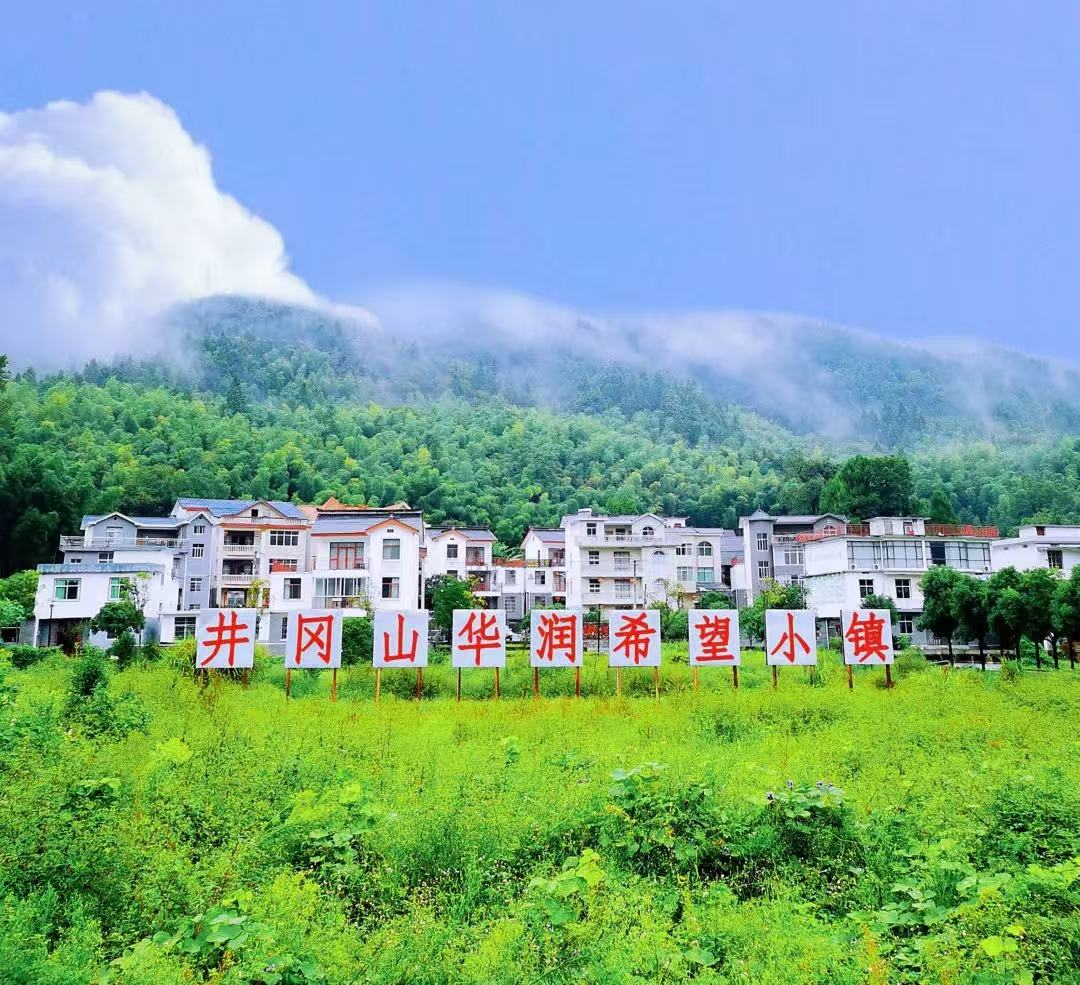 华润置地发布ESG品牌“GROW生生不息”：践行企业可持续发展助力构建美好城市(图5)