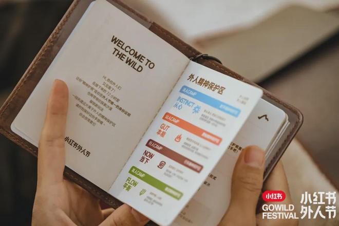盘点 2024年10大品牌IP活动(图12)
