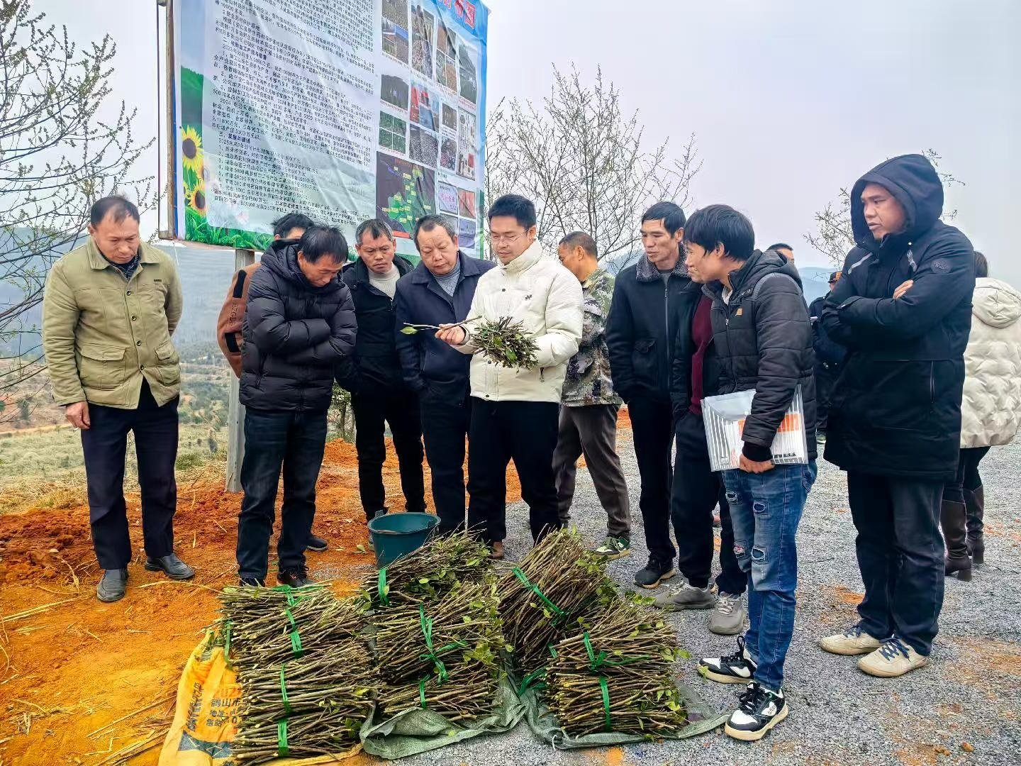人才“活水”浇灌产业沃土 “引育留用”激活发展动能(图2)