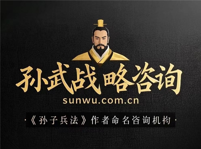 营销策划公司孙武战略咨询：品牌定位+产品策划+形象设计(图3)