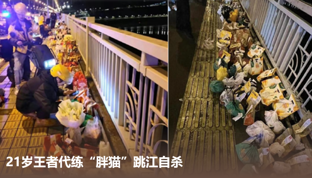 2024十大品牌公关营销案例-鸟哥笔记(图24)