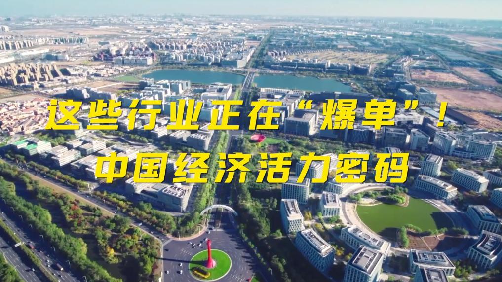 新华视点｜这些行业正在“爆单”！中国经济活力密码(图10)