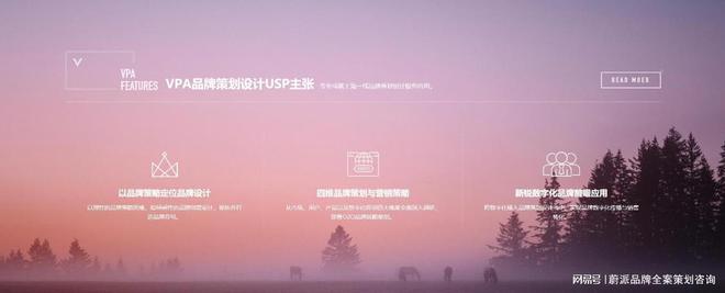 品牌升级密码：解锁专业、创新的品牌全案策划公司(图2)