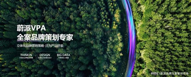 品牌升级密码：解锁专业、创新的品牌全案策划公司(图1)