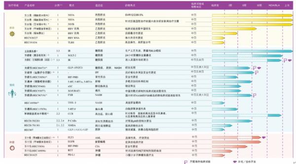 招股书洞察｜向全球输出创新东阳光药有望成为中国创新药新样本(图4)