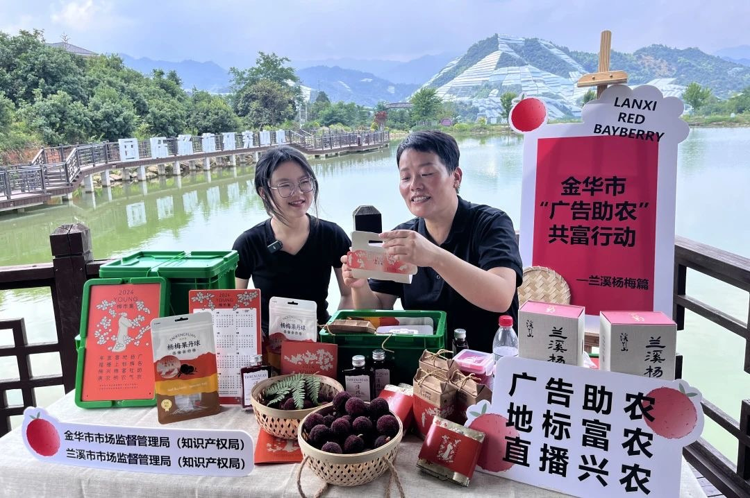 创新驱动、文化赋能浙江广告业打造高质量发展新标杆(图6)