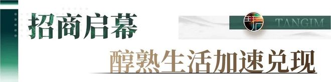 政务南迁+地标崛起佛山城市格局迎来何种改变？(图8)