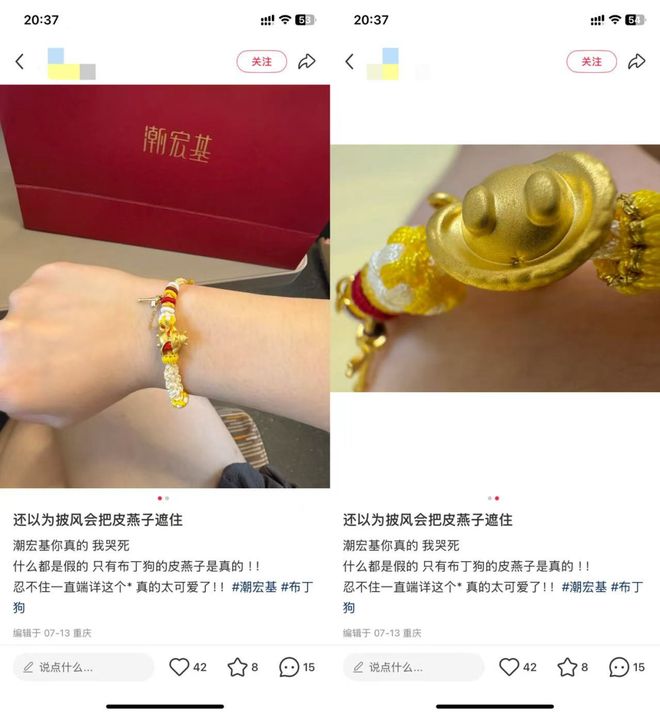 黄金IP走红启示录：如何将「用户的梗」变为「自己的矿」(图5)