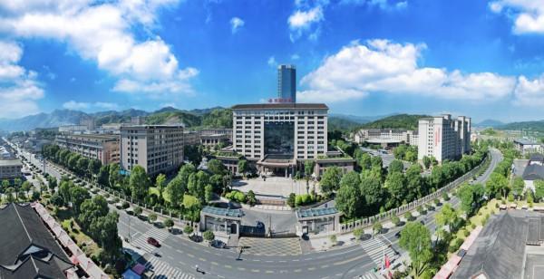 跨越山海的茶香 理想华莱以黑茶为帆驶向世界舞台(图4)