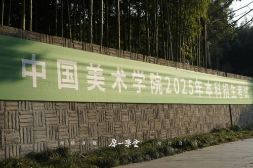 为什么越来越多美术生选择杭州集训：资源、政策与成绩的多重优势(图4)