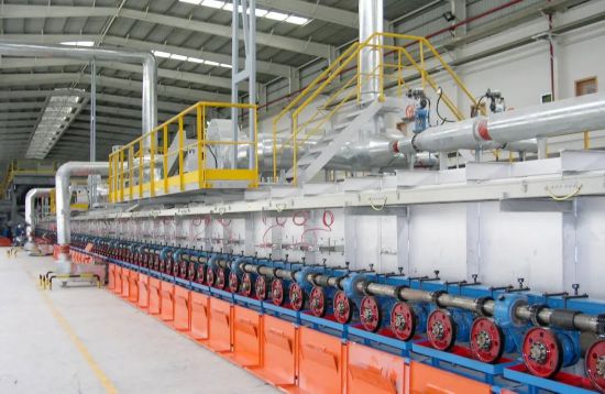 扎根深圳五载 共筑鹏城新篇