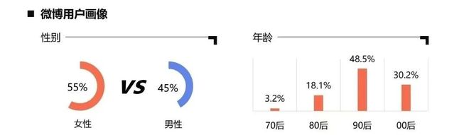 汽车营销已经离不开社媒平台(图10)