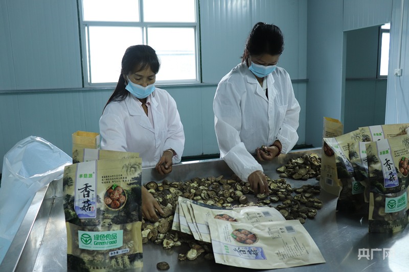 产业振兴·园区先行小菌菇撬动大产业(图2)