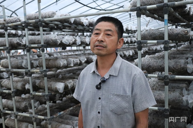 产业振兴·园区先行小菌菇撬动大产业(图4)