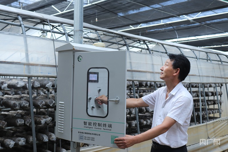 产业振兴·园区先行小菌菇撬动大产业(图3)