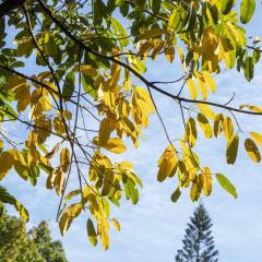 2024年服装定制设计专业学什么(图2)