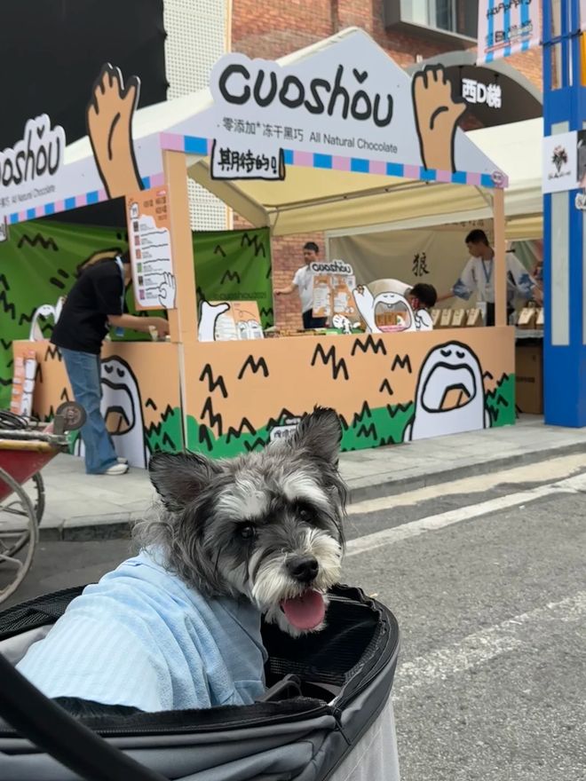 时尚风潮席卷宠物圈宠物经济成为品牌新战场(图6)