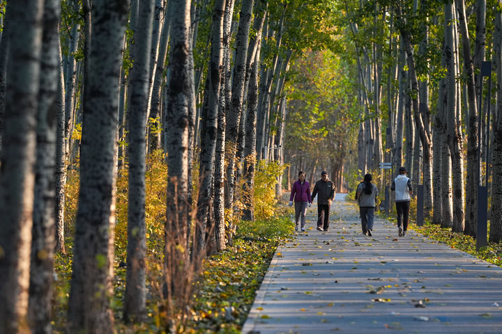 一张蓝图何以绘到底——北京以规划引领超大城市治理的启示(图3)