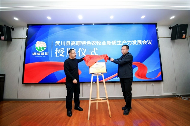 抖音促销价监测神器榜：2025年AI营销必备工具深度评测