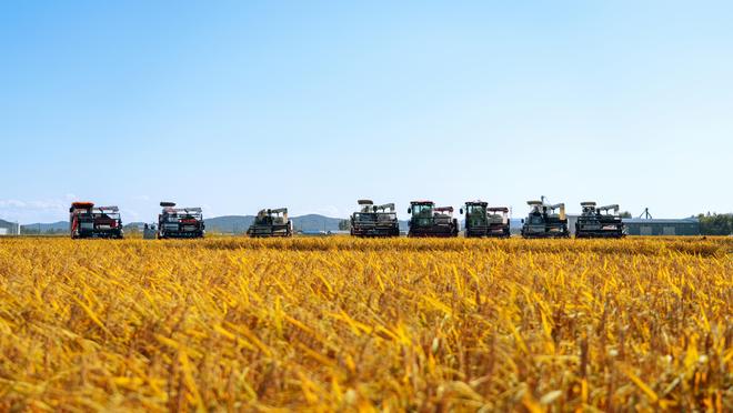 十月稻田新米季创新营销荣膺“2025年度高质量营销案例”(图2)