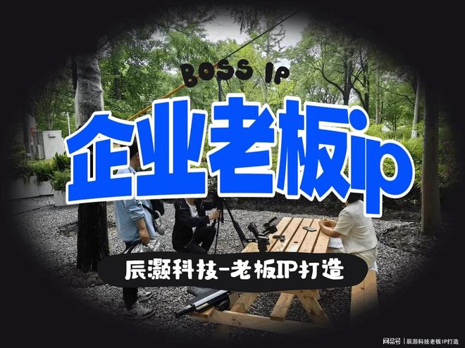 精选性价比IP操盘手：多家机构横向对比帮你找到超值选择