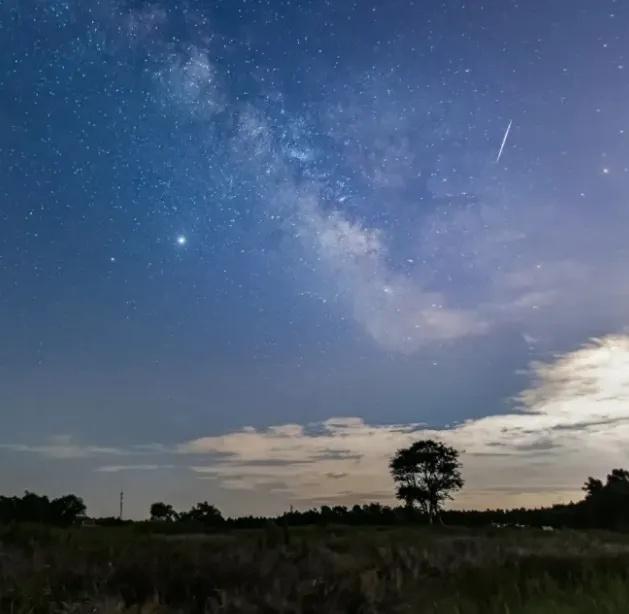 打卡点不断上新、玩法持续升级、活动火爆出圈这几年崇明文旅处处“红”(图8)