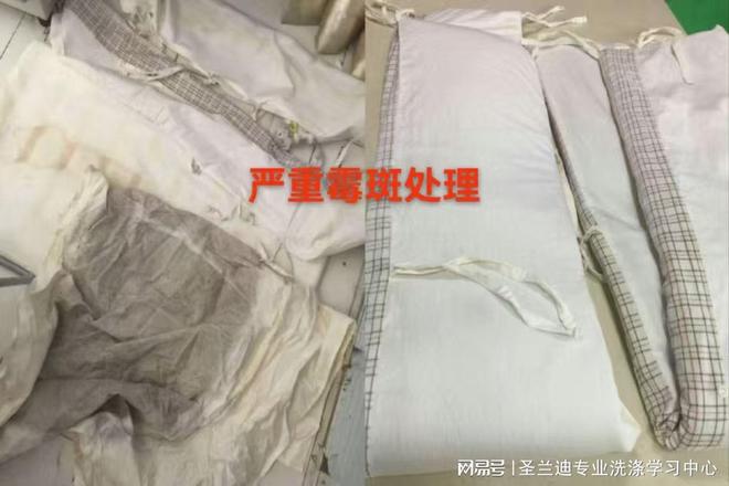 重庆圣兰迪商贸有限公司：干洗行业一站式服务先驱者