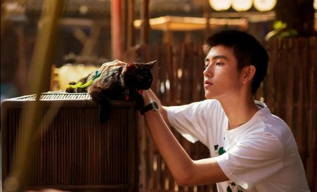 长得丑、演戏烂爹妈“强捧不红”的3位星二代注定走不远(图6)