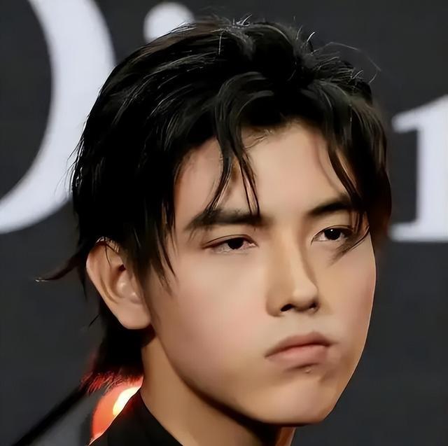 长得丑、演戏烂爹妈“强捧不红”的3位星二代注定走不远(图13)