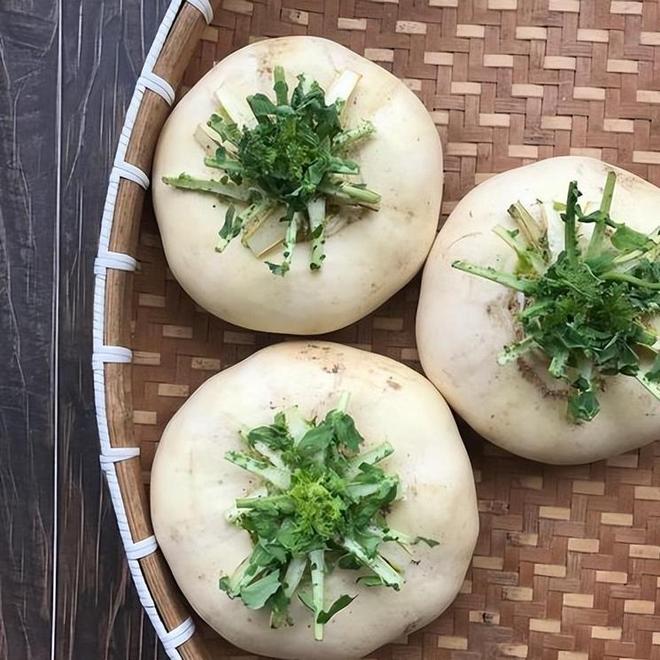 亩产高达7000斤！常被误认作萝卜曾经的救命粮如今成出口名蔬(图3)