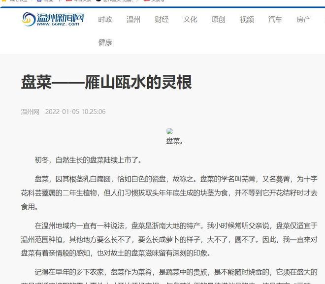 亩产高达7000斤！常被误认作萝卜曾经的救命粮如今成出口名蔬(图2)