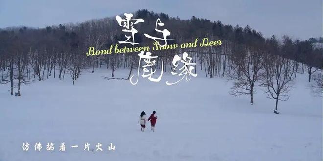 赋能文旅产业发展|哈师大师生多部获奖作品闪耀中国旅游电视周(图3)