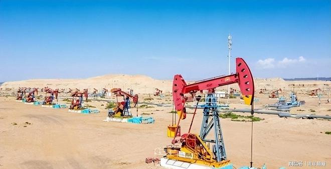 又一白眼狼?掠夺中方资产驱逐中企高管出境如今还拒绝还钱(图3)