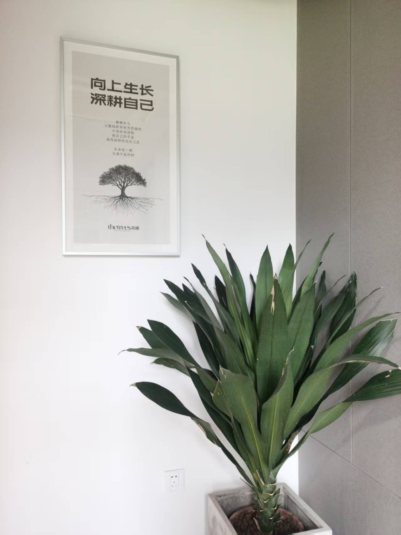 总结口碑好的文创设计公司选哪家能保障设计质量分析(图2)