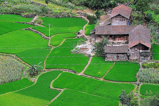 人贩子梅姨落网！真实身份被扒照片首次曝光警方披露抓捕细节(图5)