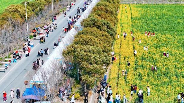 马达加斯加姑娘为一朵牡丹“打飞的”上海把赏花经济做成“城市名片”(图5)