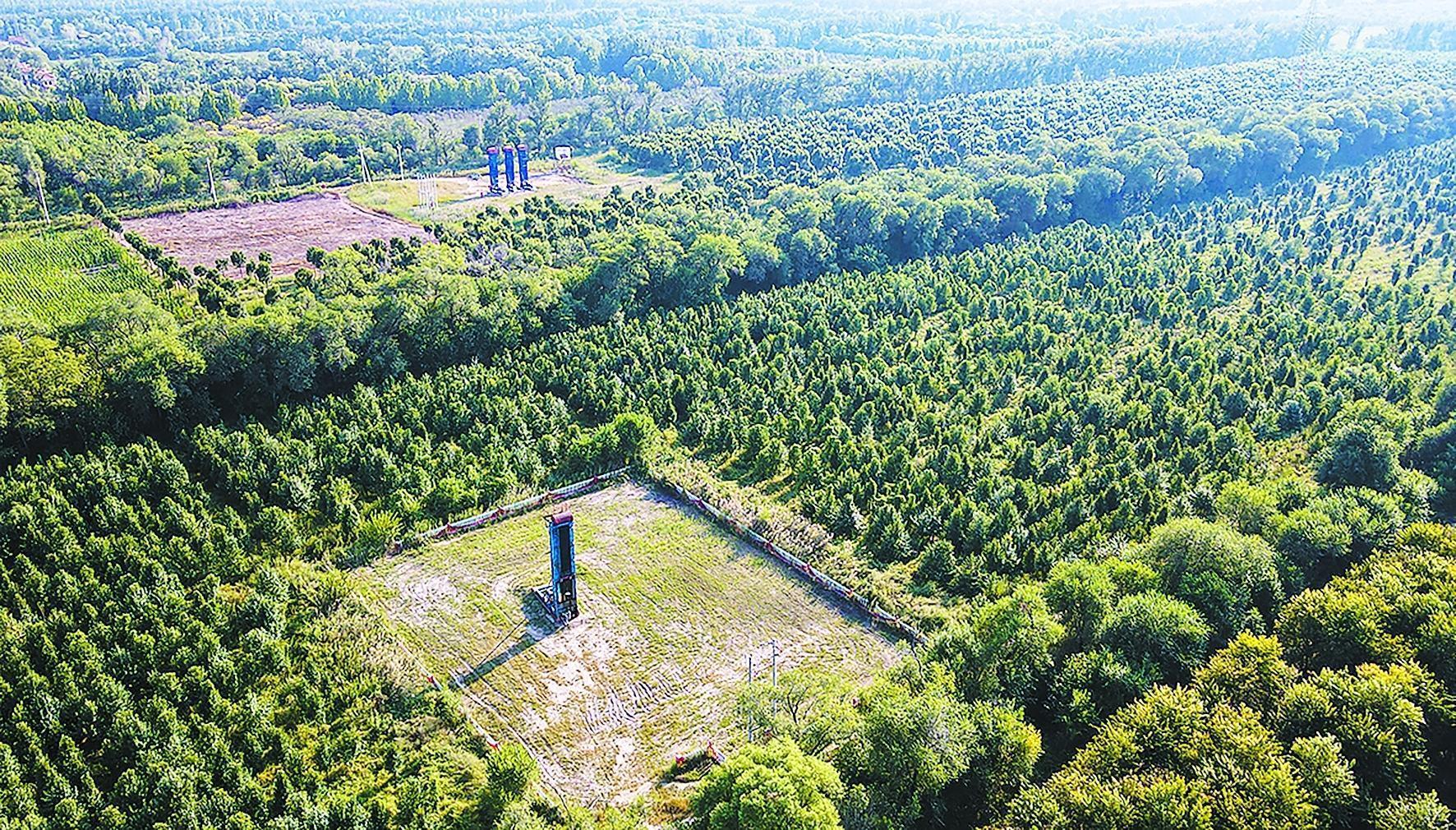 守护锦绣河山 坚定逐绿前行(图1)