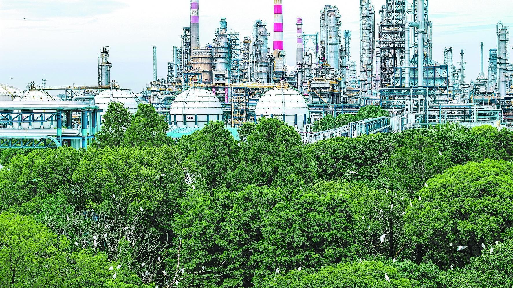 守护锦绣河山 坚定逐绿前行(图2)