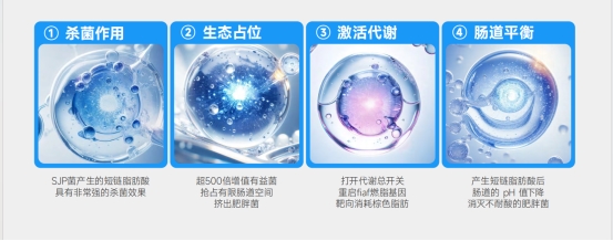 深度解析多燕瘦体重管理体系：产品辅助减脂的逻辑与价值(图2)