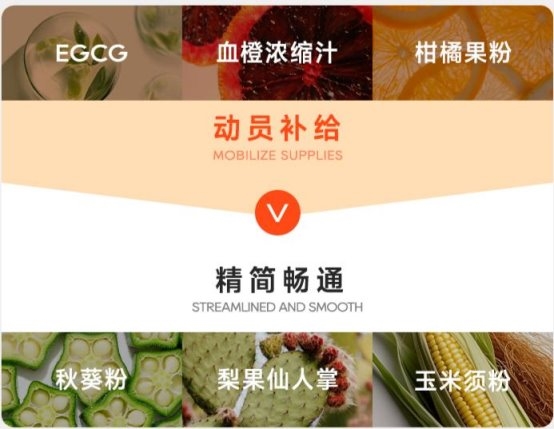 深度解析多燕瘦体重管理体系：产品辅助减脂的逻辑与价值(图3)