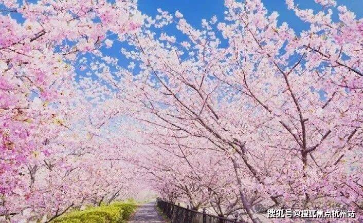 锦绣雅著花苑 (官方售楼处电话) 官方首页 - 锦绣雅著花苑销售中心 - 楼盘详情-环境户型价格地址配套电话交房时间配套全解析(图15)