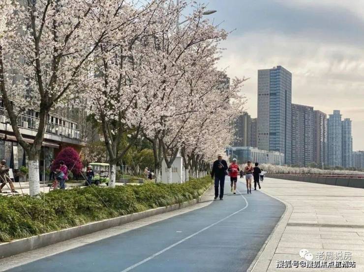 绿城潮上中南银座-售楼处-官方咨询通道汇集户型资料、实时报价、区位配套、项目地址、联系热线、交房时间等楼盘一手信息(图4)