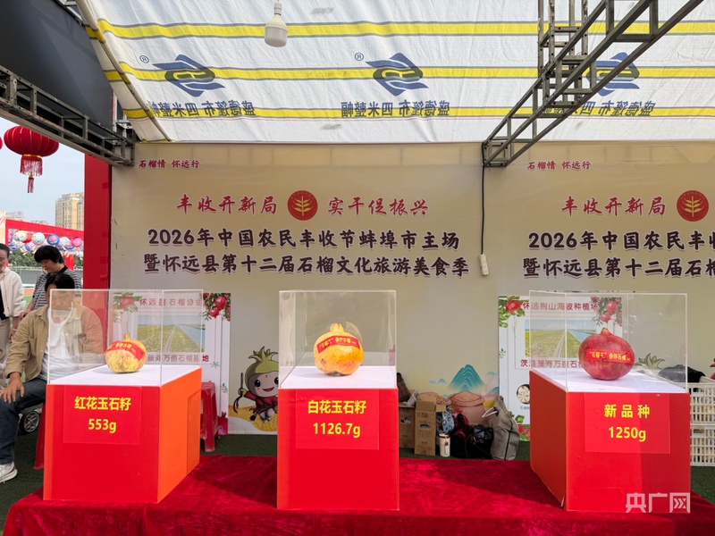 怀远这颗“红宝石”甜了千年又出圈！(图3)