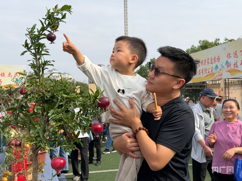 怀远这颗“红宝石”甜了千年又出圈！(图4)